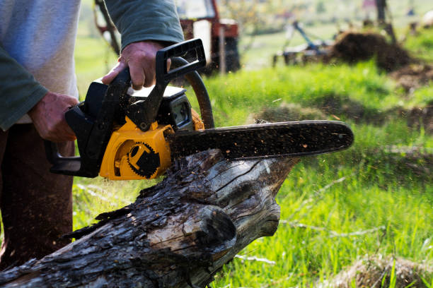 Lawn Pest Prevention in Victory Lakes, NJ